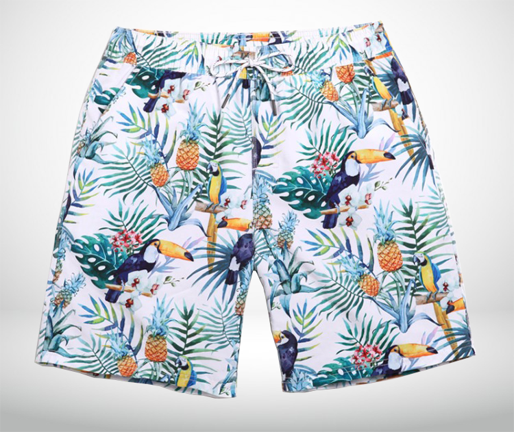 2023 Art Fashionable Pelican Mens Pineapple Print Shorts | PILAEO
